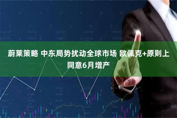 蔚莱策略 中东局势扰动全球市场 欧佩克+原则上同意6月增产